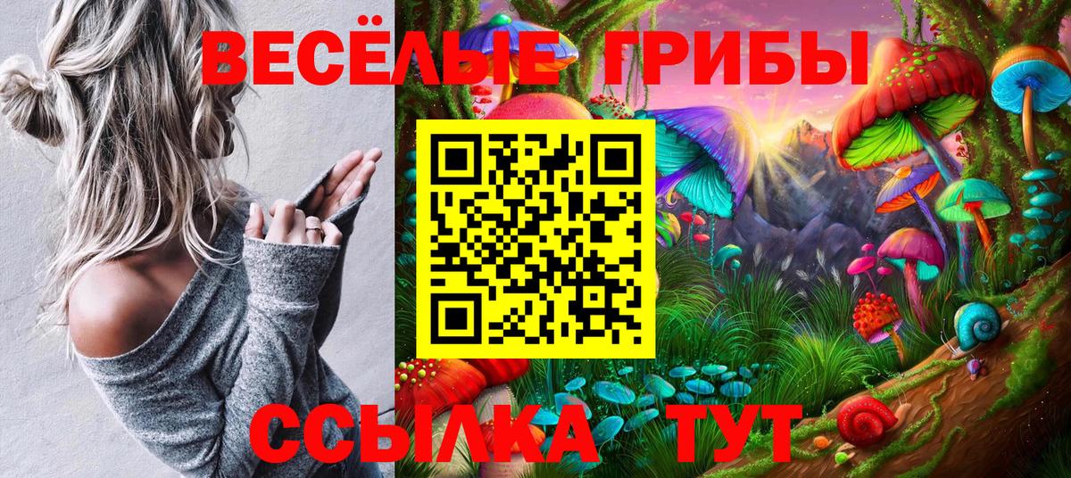 дарнет шоп  Псилоцибиновые грибы Magic Shrooms  Вход с VPN  Ейск 
